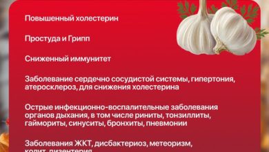 Photo of Полезные свойства чеснока